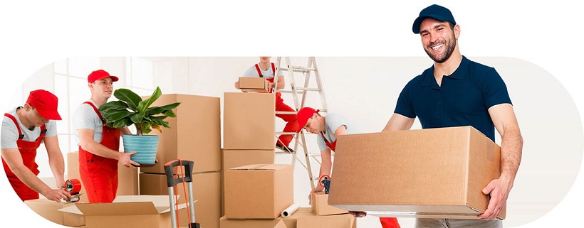 صفر تا صد اسباب کشی